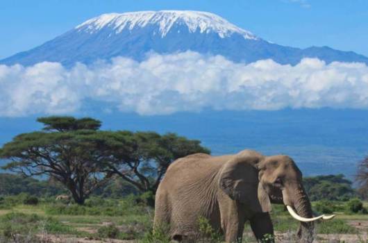 Amboseli