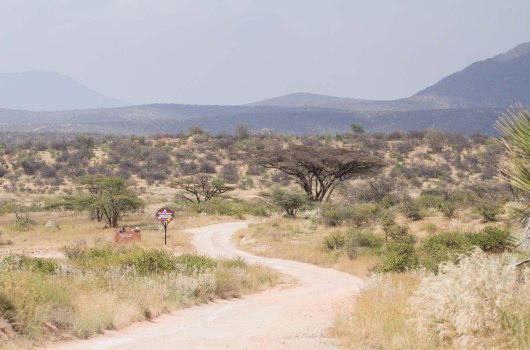 Samburu